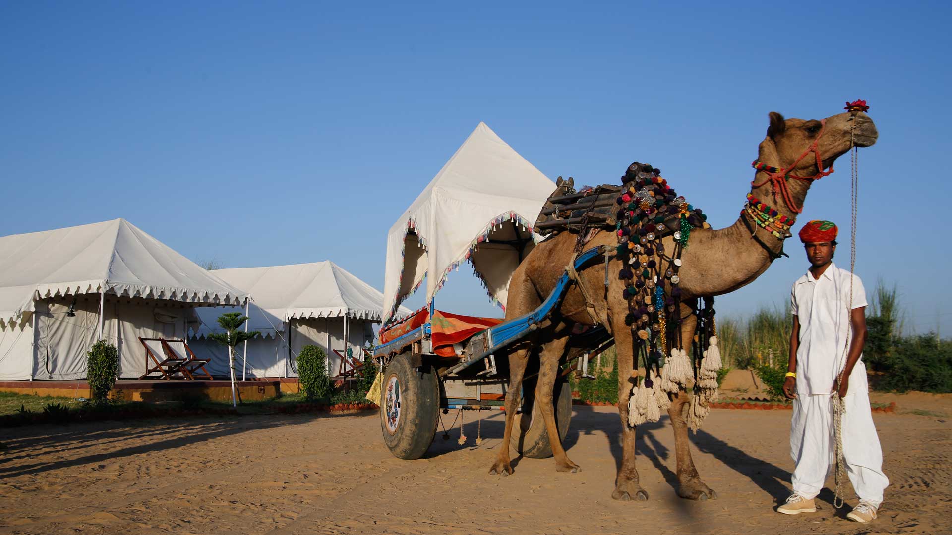 camp pushkar,desert camp,tent pushkar,fair accomodation, jeep safari, camel safari, desert camp, Pushkar fair, pushkar tent