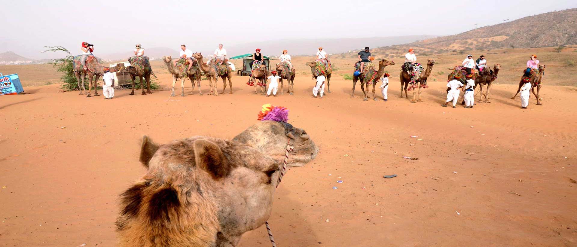 camp pushkar,desert camp,tent pushkar,fair accomodation, adventure pushkar safari, camel safari