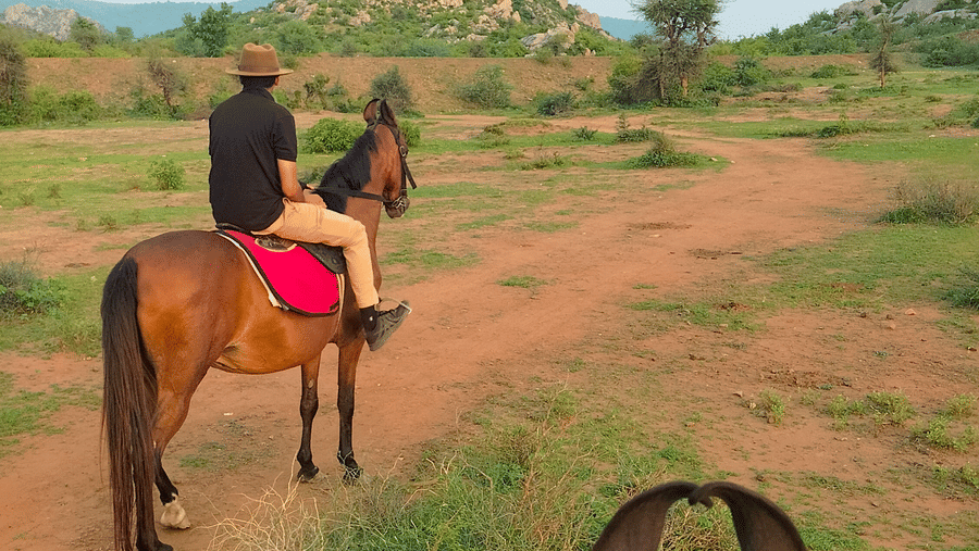 Pushkar Adventure Desert Camp