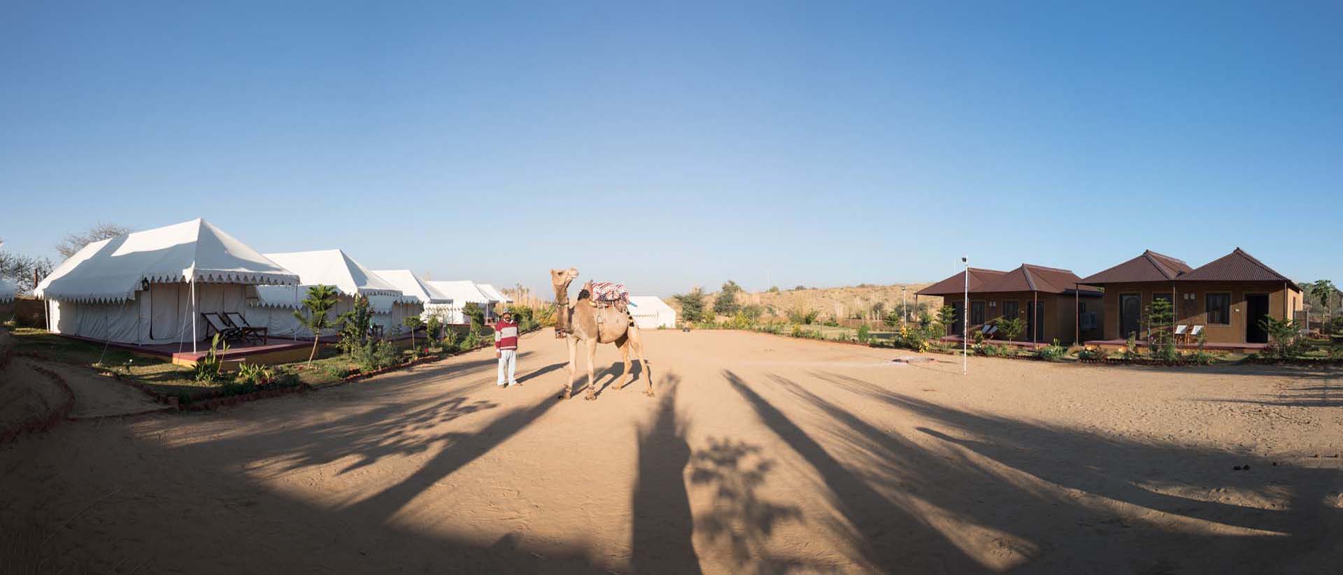 Overnight camp stay Pushkar