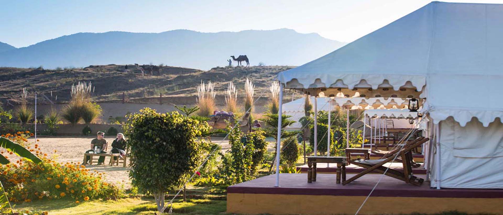 Comfortable tent in Pushkar